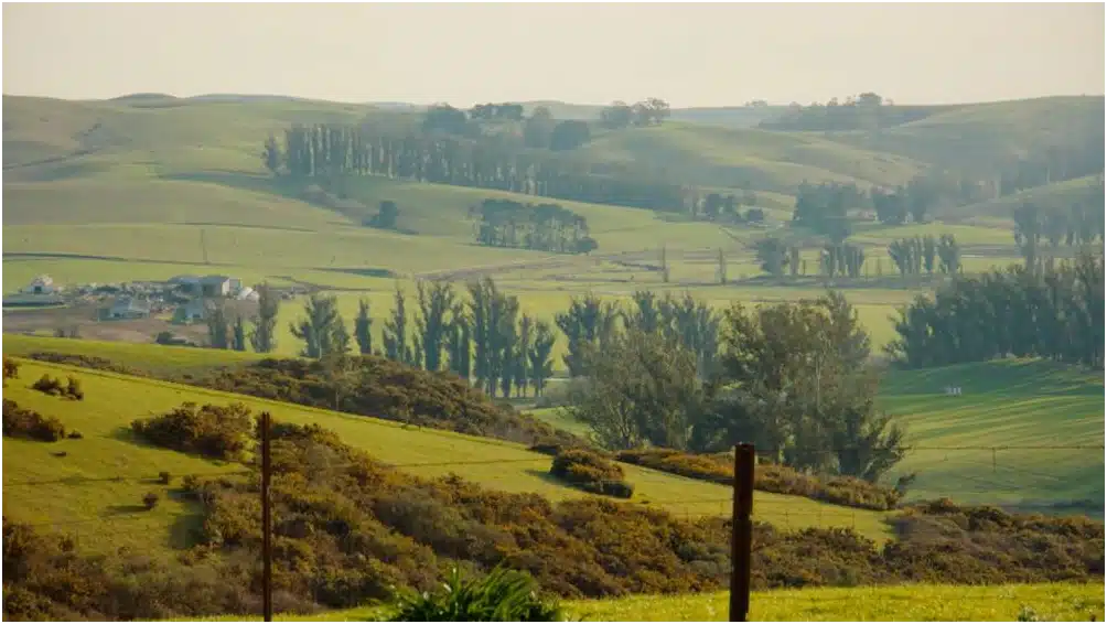 Sonoma Recovery Services LLC